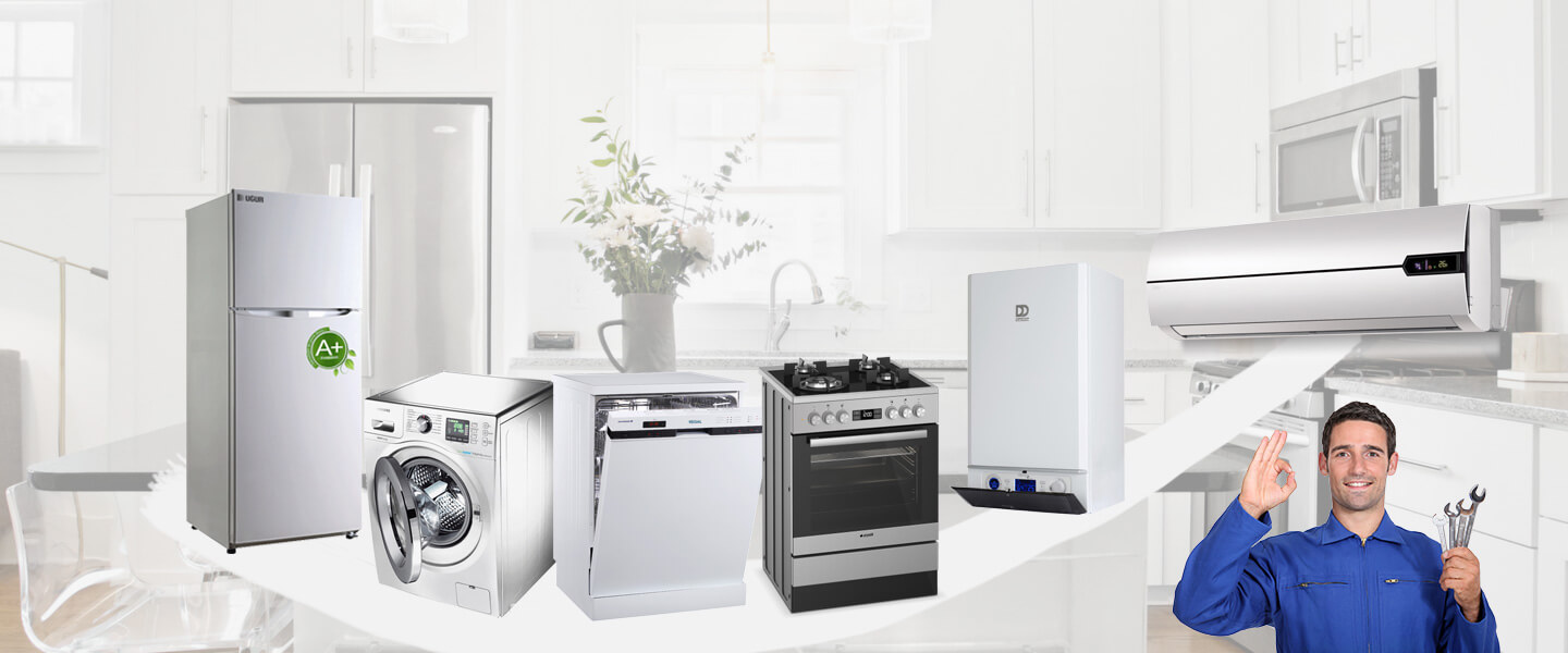 Didim Daikin Servisi